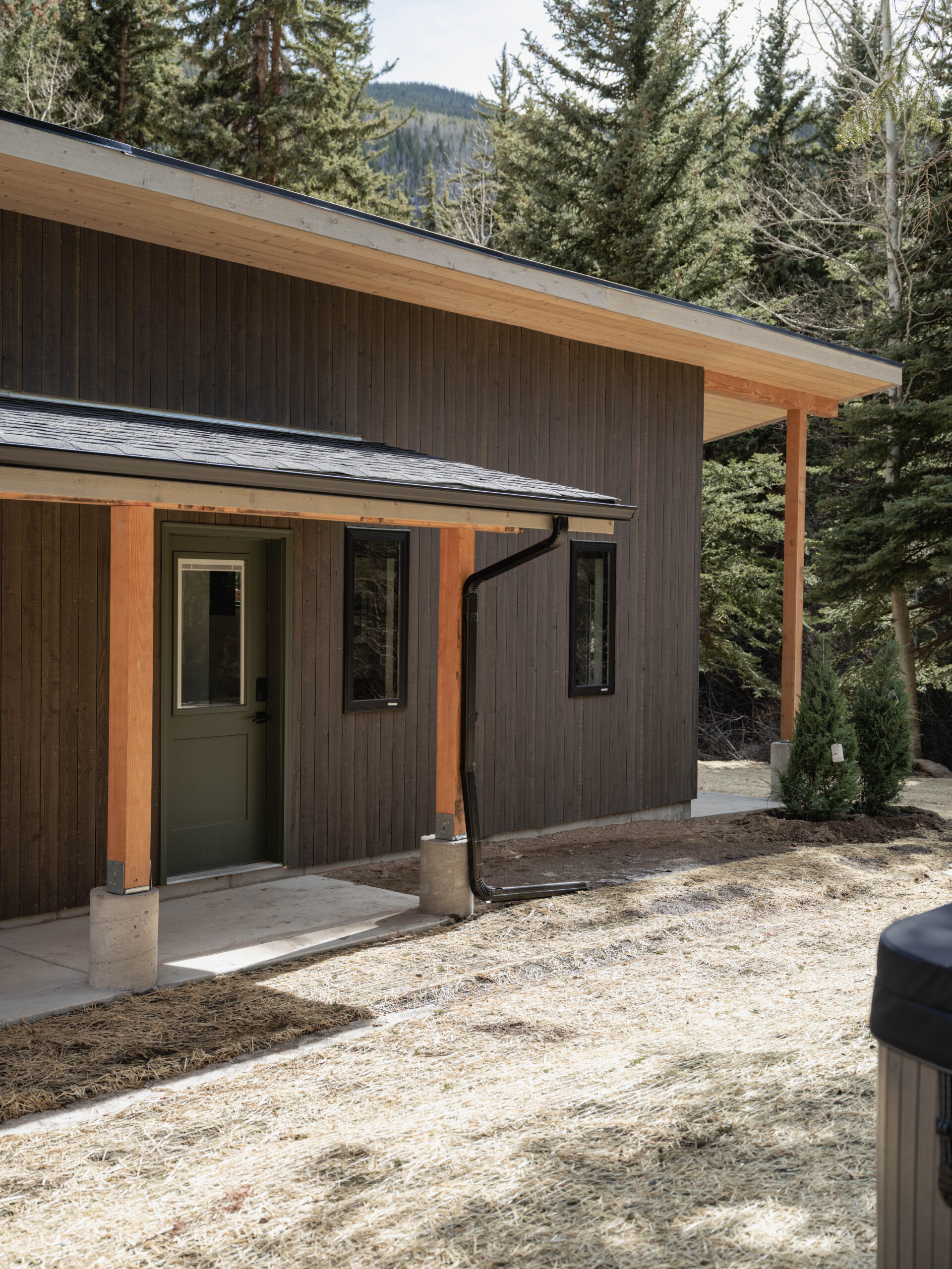 A modern cabin with dark wood siding, a green door, and large windows stands among tall evergreen trees, with a covered porch supported by wooden posts and a mulched area in the foreground.