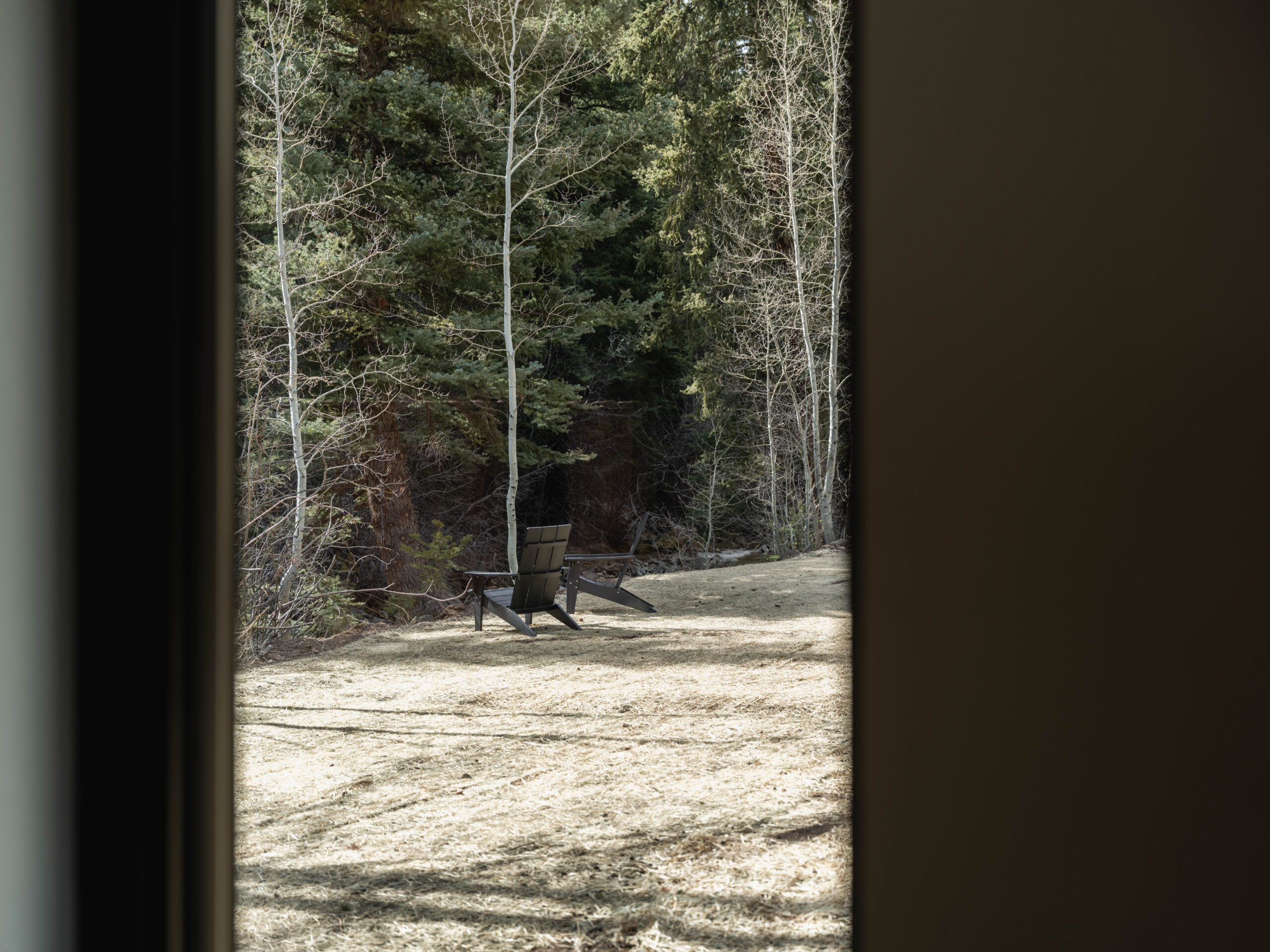 A wooden chair sits outdoors on dry grass, surrounded by tall trees, viewed through a window frame from indoors. Sunlight filters through the branches, creating a quiet and peaceful atmosphere.