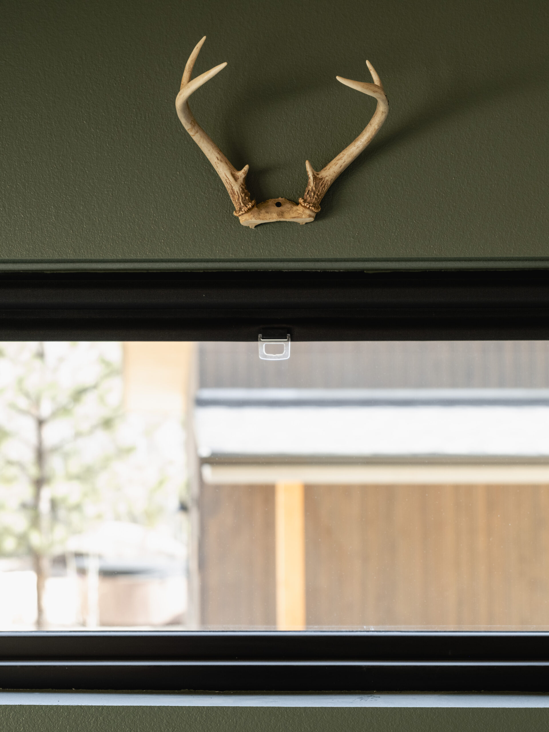 A pair of antlers mounted on a green wall above a rectangular window with a blurred outdoor view of trees and a building.