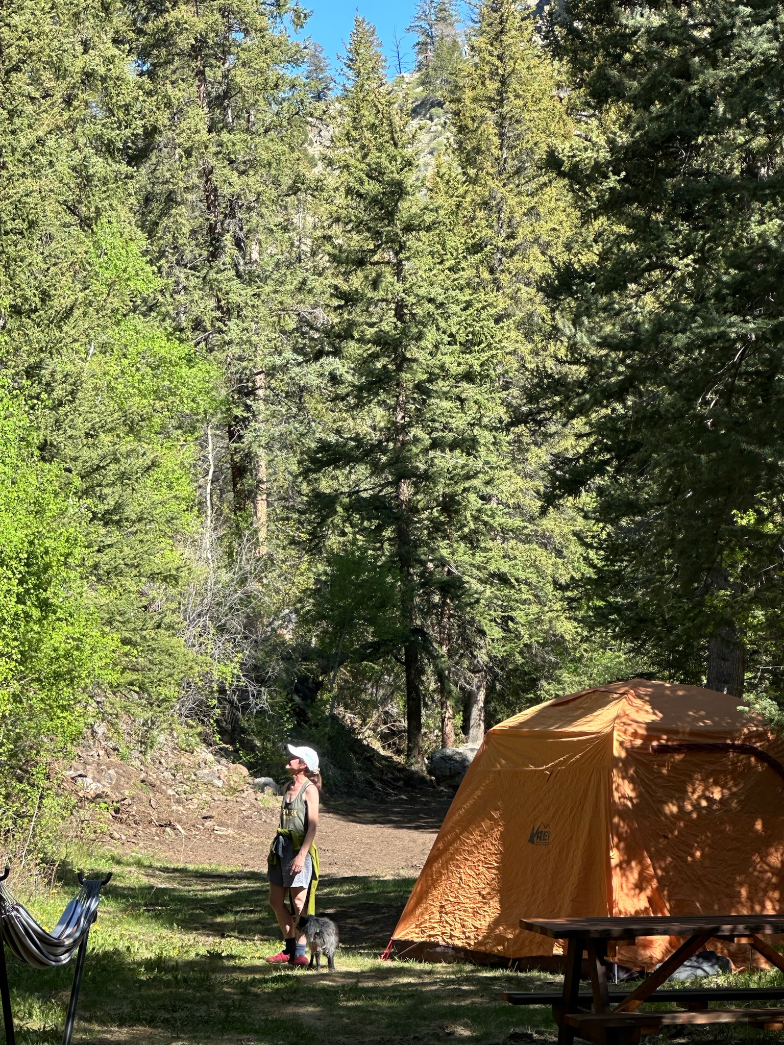 0FA0A99F-C0F6-43A0-BBFA-6905040BE0B1