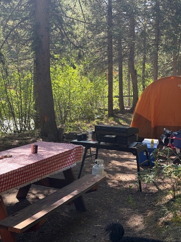 29B4FD79-5DD6-4B9C-A885-C1236FF175E3_4_5005_c