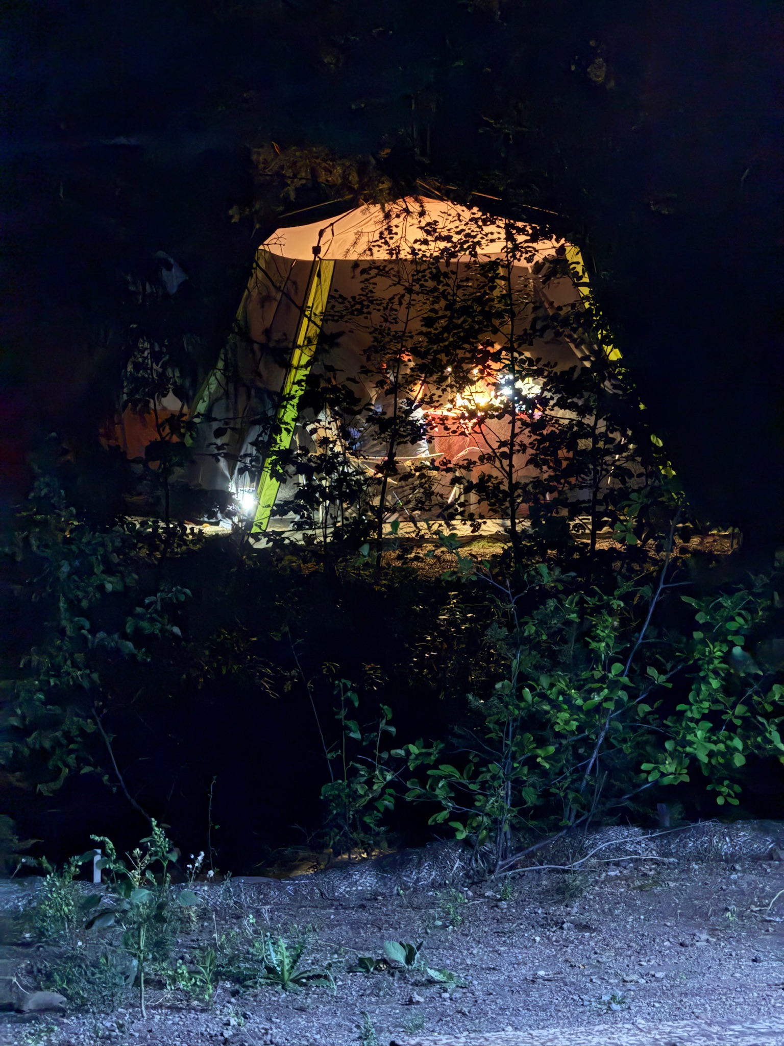 92C79006-C572-4A4F-963C-1249915EF66D