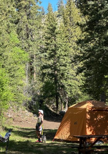 0FA0A99F-C0F6-43A0-BBFA-6905040BE0B1