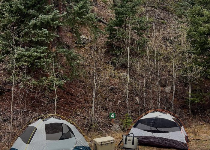 Two camping tents are set up on grass near a forested hillside, with two coolers placed between them. A green sign with the number 4 is visible behind the tents.