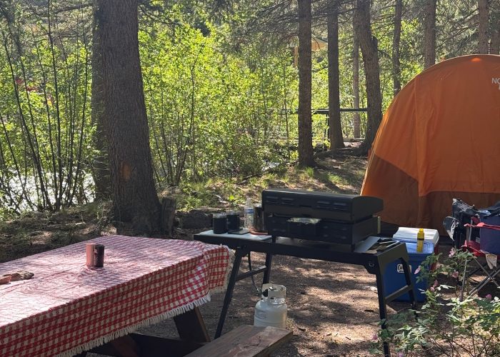 A campsite with a picnic table covered in a red-checkered cloth, a propane grill on a folding table, an orange tent, and camping supplies among trees.
