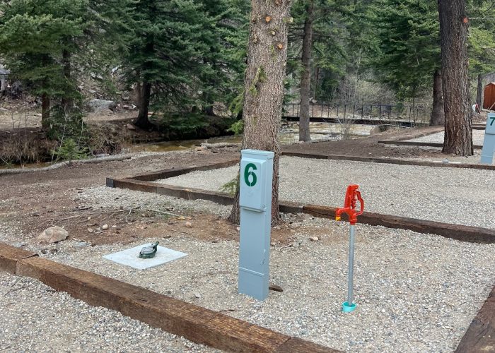 An empty gravel campsite with a utility hook-up labeled 6, a water spigot, and a large tree nearby, surrounded by pine trees in a forested area.